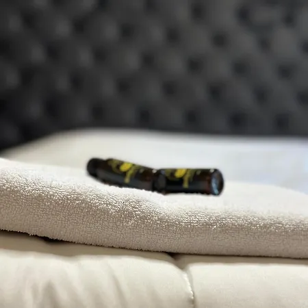 A&nd 2 아파트 티라나